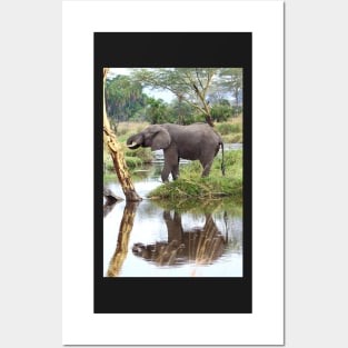 African Elephants, Serengeti National Park, Tanzania. Posters and Art